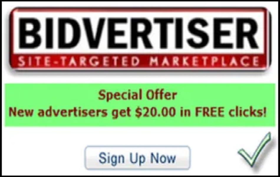 Bidvertiser Ad Campaign