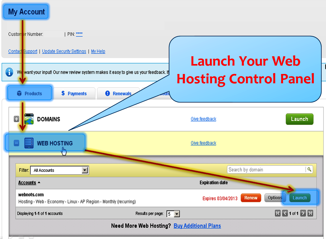 Launching Hosting Panel in GoDaddy