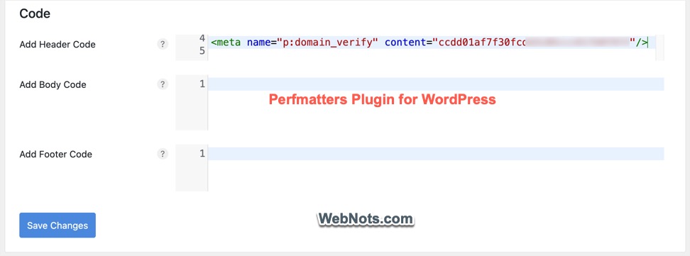 Add Meta Tag Using Perfmatters WordPress Plugin