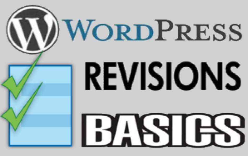WordPress Revisions Basics