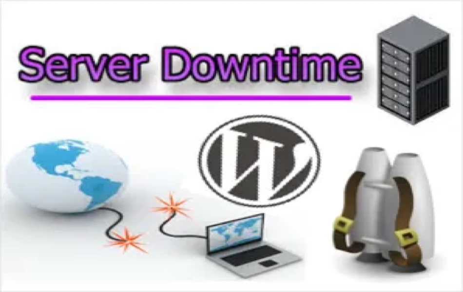 Monitor WordPress Site Downtime