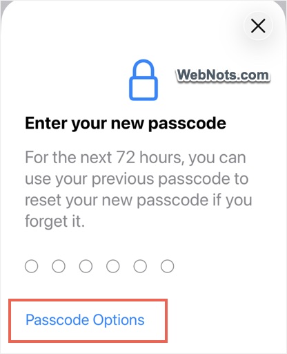 Passcode Options