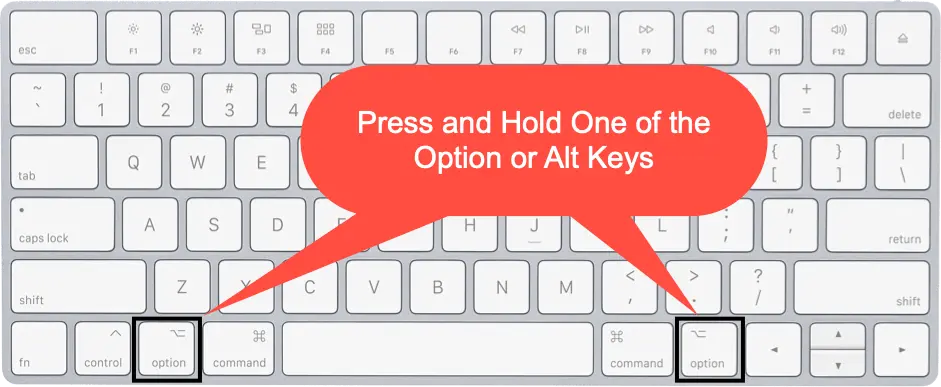 Using Option or Alt Keys in Mac Keyboard