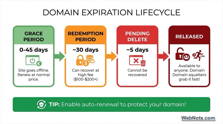 Domain Expiration Cycle