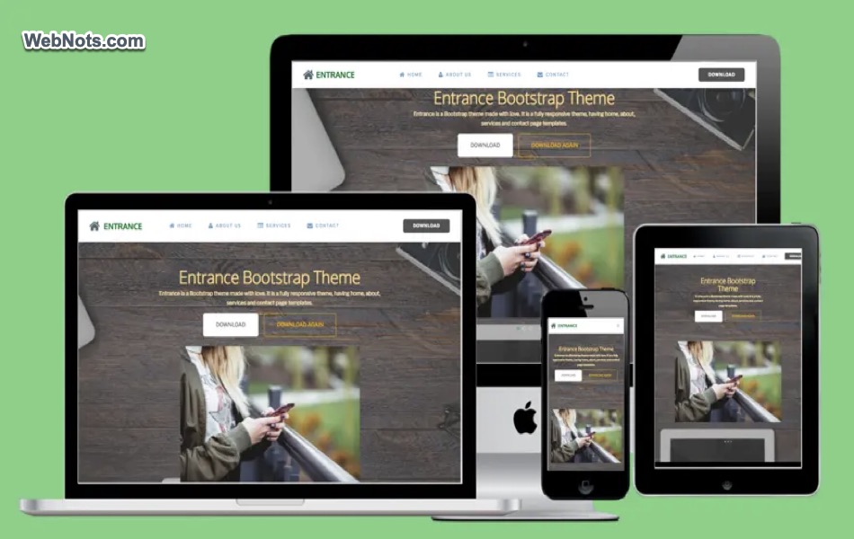 Download Entrance HTML Theme