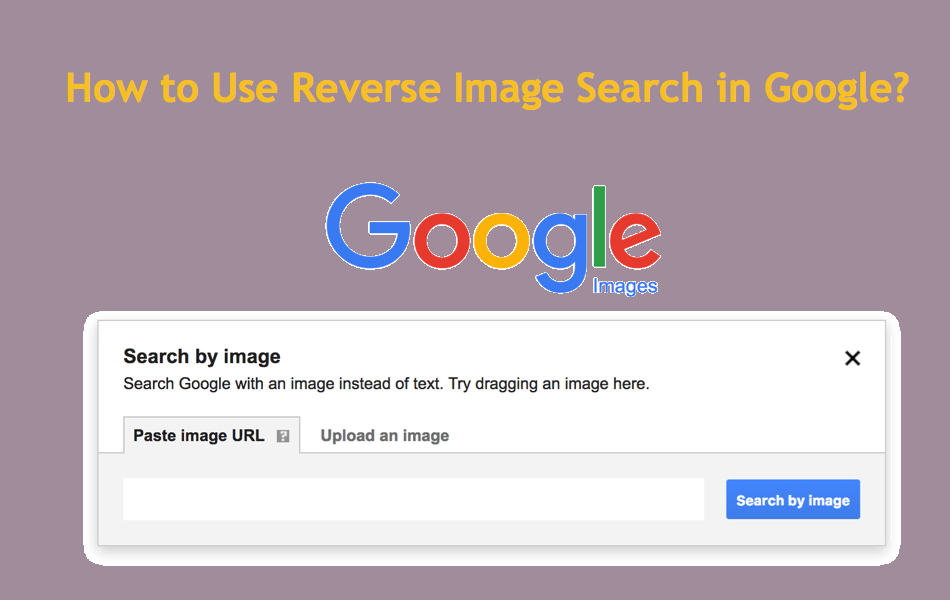 How to Use Reverse Image Search in Google? Nots