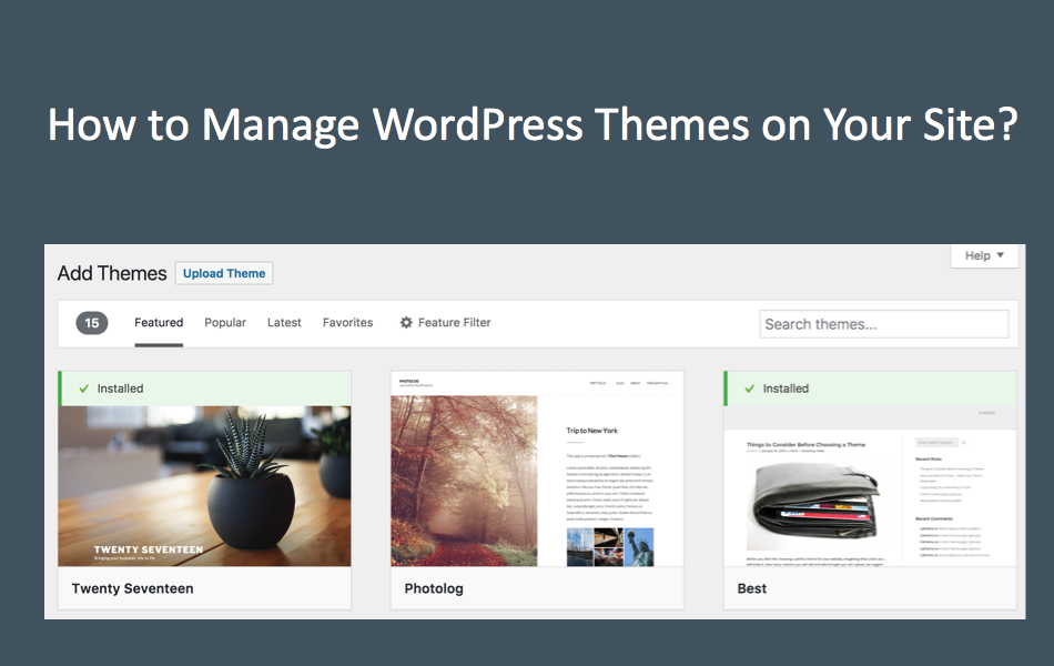 How to Manage WordPress Themes on Your Site?
