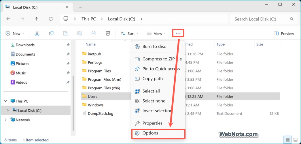 Options Menu in Windows 11 File Explorer