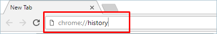 View Chrome History with Command URL