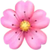 Cherry Blossom Symbol
