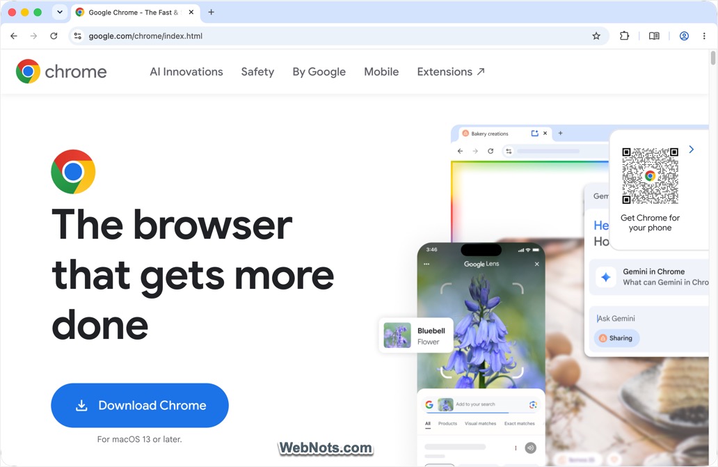 Google Chrome Browser