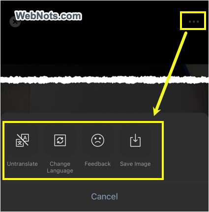 Image Translation Options