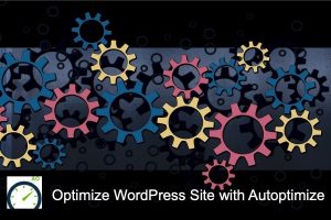 Optimize WordPress Site with Autoptimize