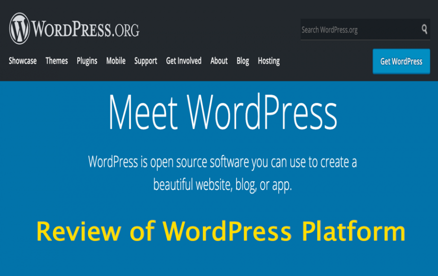 Review of WordPress Platform