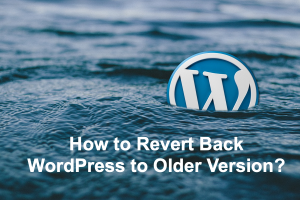 How to Revert Back WordPress to Older Version?