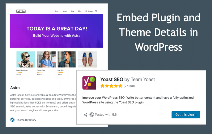 Embed Plugin and Theme Details in WordPress