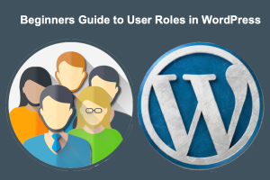 Beginners Guide to User Roles in WordPress