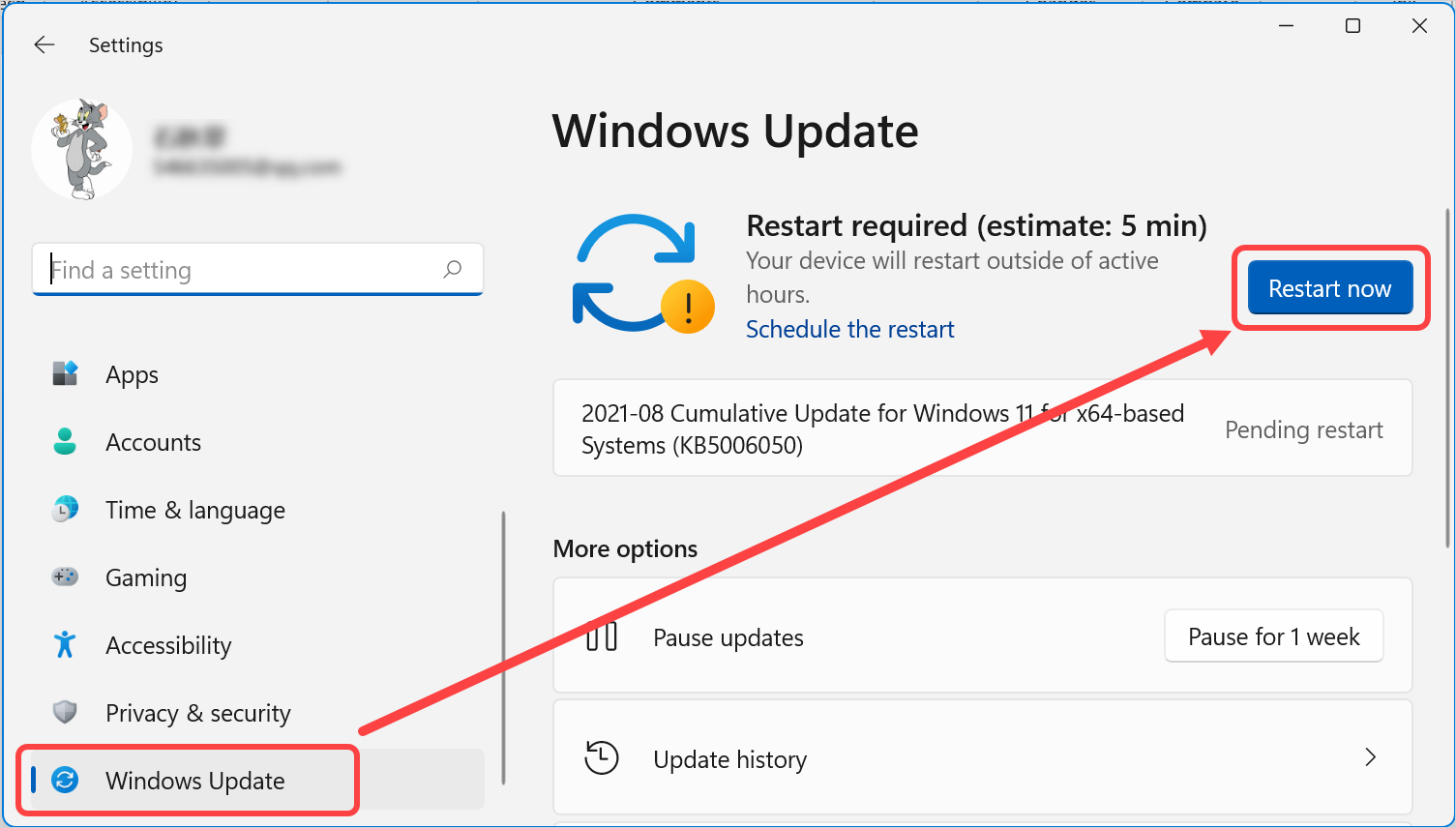 Windows 11 Update 5042