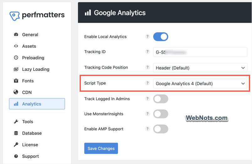 Perfmatters GA4 Default Version Settings