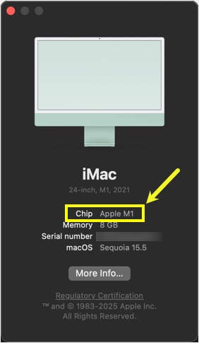 Check Mac Chip