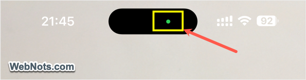 Green Dot in Dynamic Island