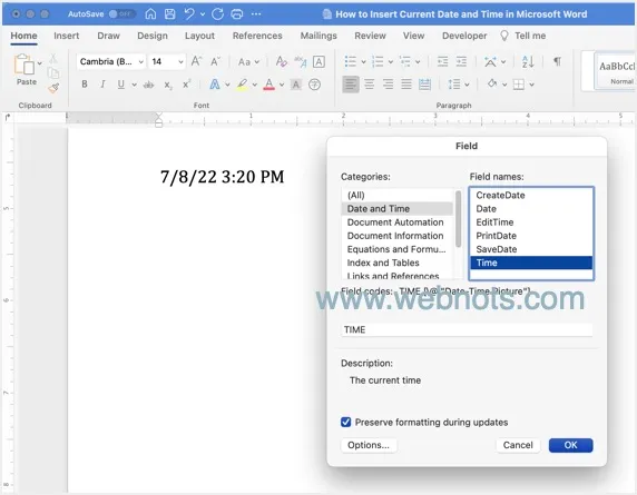 Insert Date and Time from Field in Word Mac