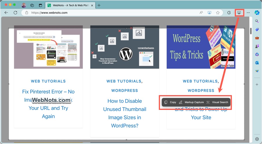 Edge Screenshot Option