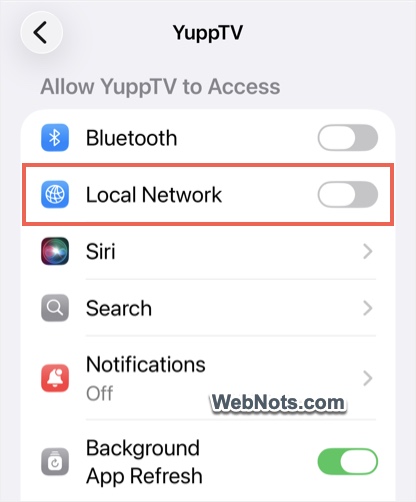 Enable Local Network Option
