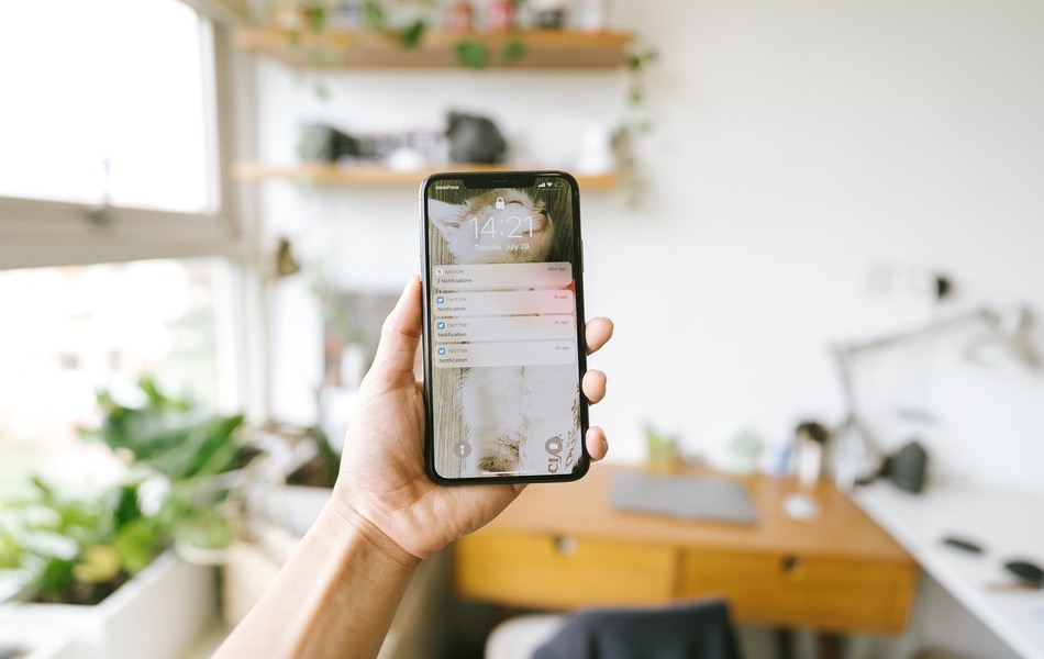 Check In Not Working in iPhone Messages App
