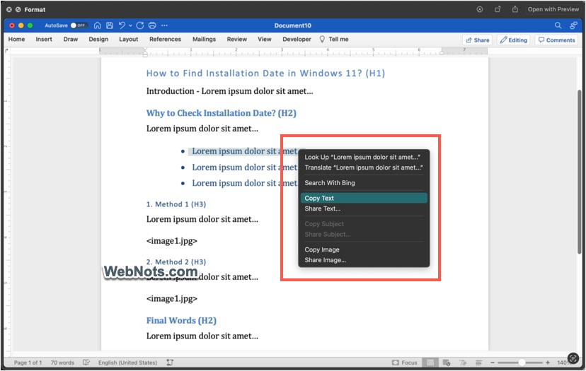 Copy Text or Object from Quick Look