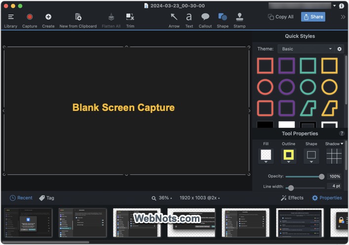 Blank Image in Snagit