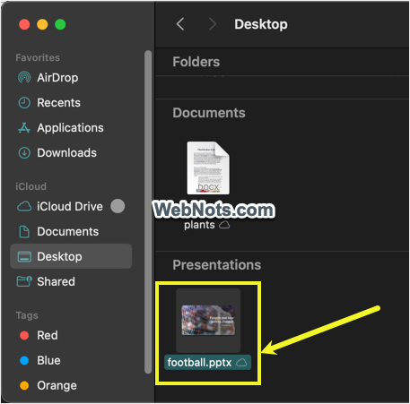 File Shows with Extension