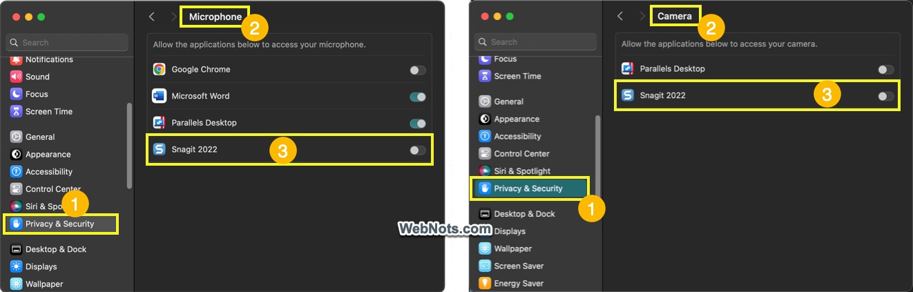 Snagit Microphone and Camera Access