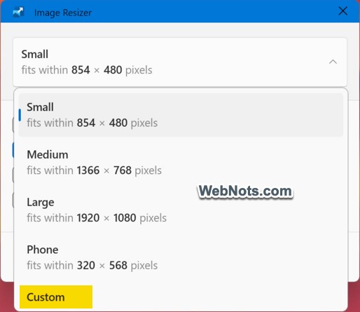 Select Preset Size or Custom