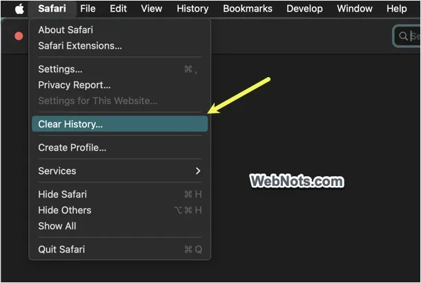 Clear History in Safari Menu