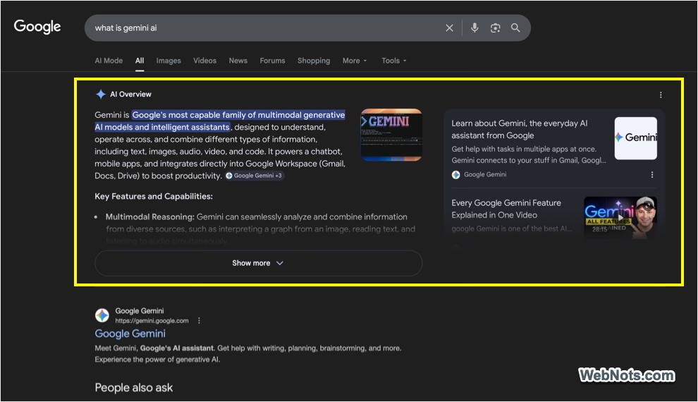 Google AI Overview in Results Page