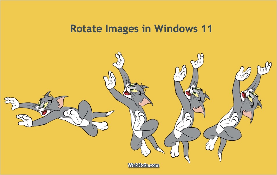 Rotate Images in Windows 11