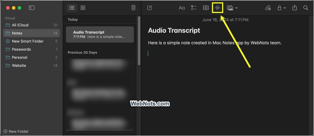 Record Audio Button in Notes App
