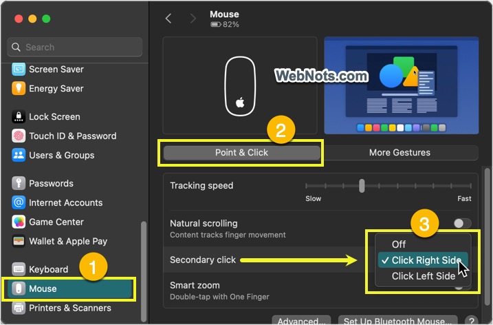 Select Right-Click for Mouse in Mac