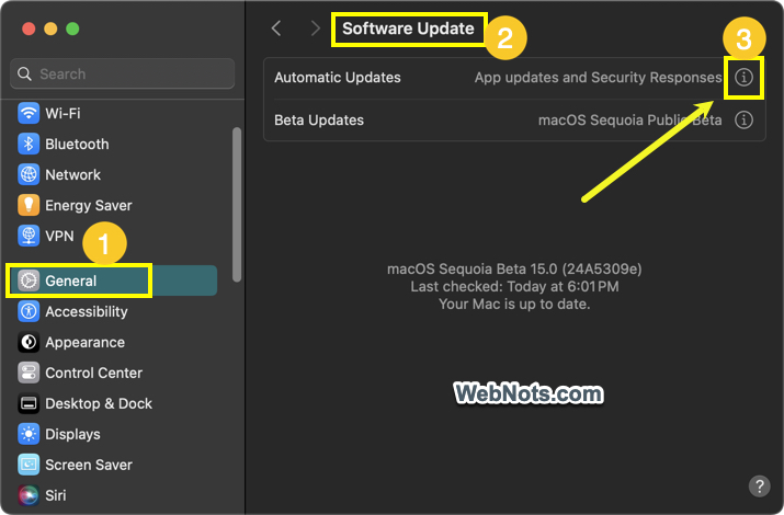 Automatic macOS Updates