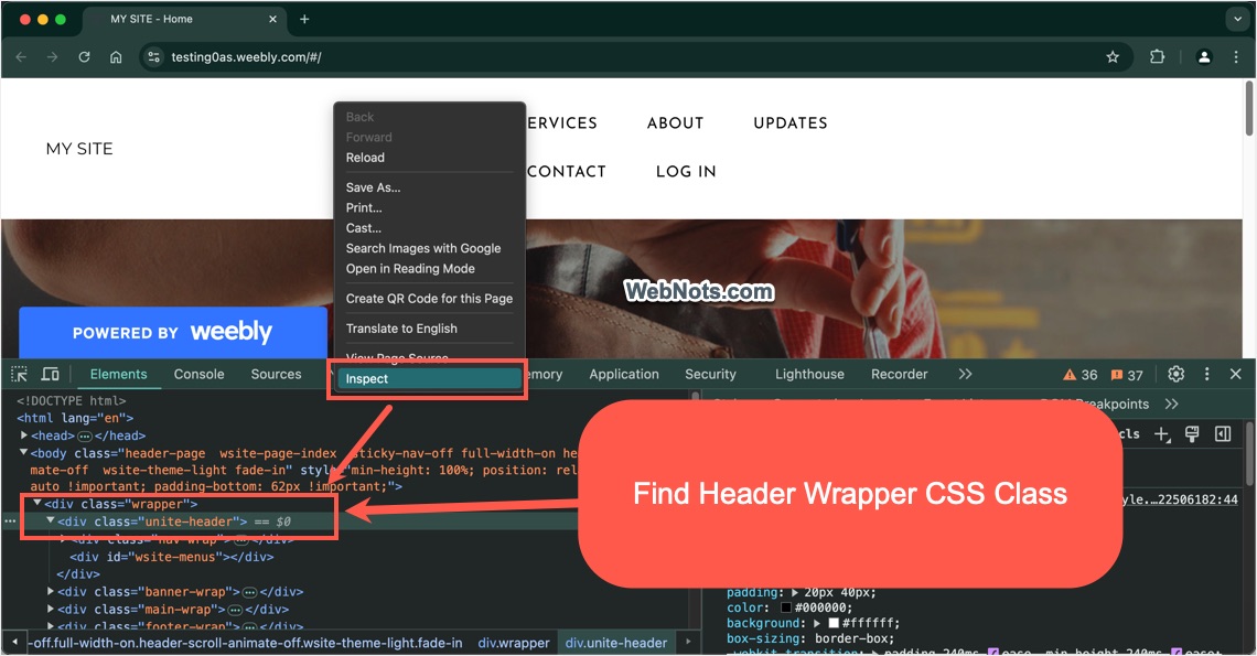 Find Header Wrapper CSS Class