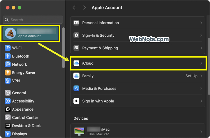 iCloud Settings in Mac