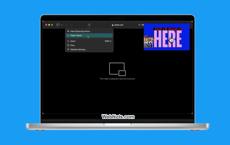 Video Viewer in Safari Mac