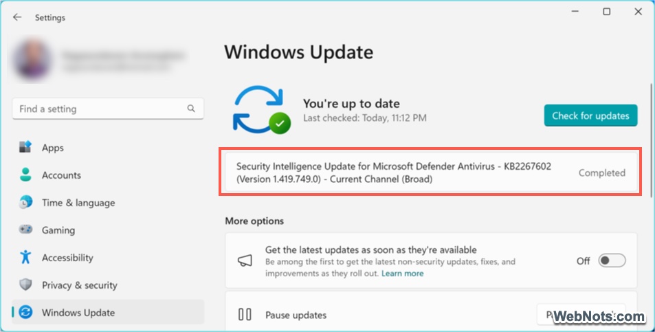 Update Installed Automatically