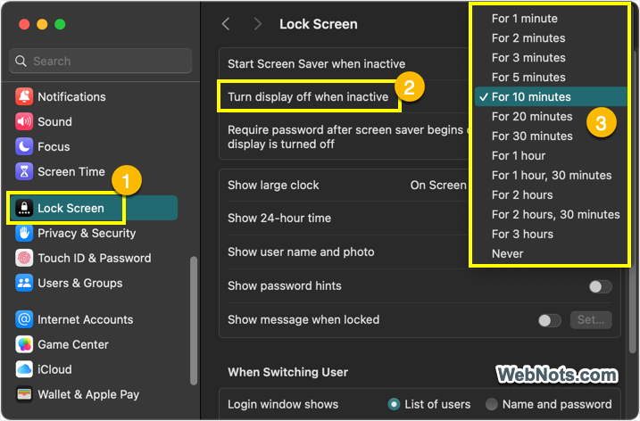 Turn Display Off When Inactive in Mac