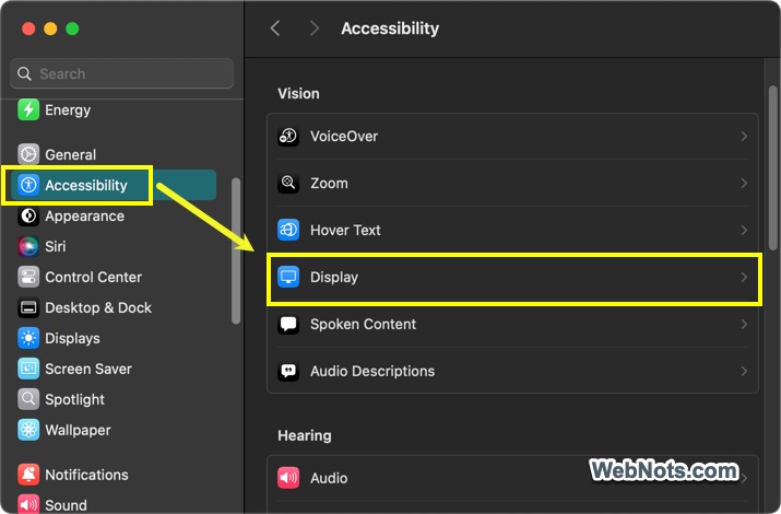 Accessibility Display Settings