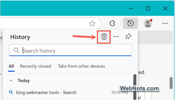 Delete Browsing Data Option