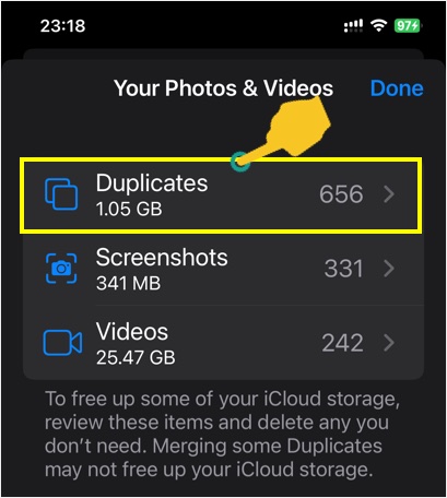 Open Duplicates Section