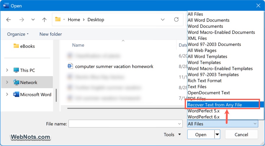 Recover Text from Any File Option