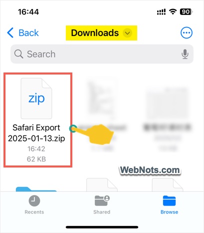 Downloaded ZIP File